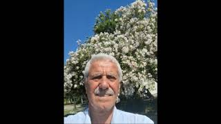 BEN SANA VURGUNUM