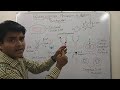 Fluroquinolone Mechanism of Action by model