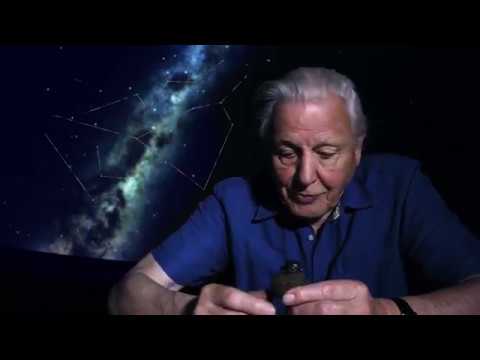 David Attenboroughs Natural Curiosities
