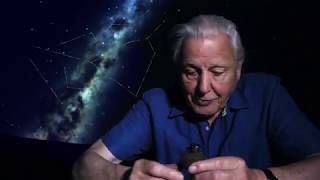 David Attenboroughs Natural Curiosities