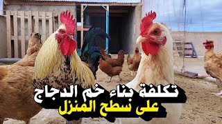 لا تبدأ في تربية الدجاج على سطح المنزل قبل مشاهدتك لهذا الفيديو، نصائح مهمة من مجرب