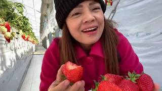 เดินมากินอย่างเดียวในสวนลูกใหญ่เวอร์วัง🍓🍓#ep21