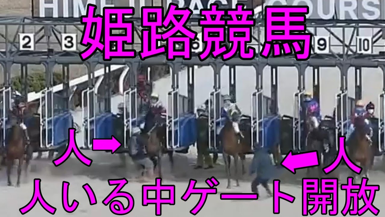 【地方競馬】姫路競馬　放馬➡人がいる中 全ゲートが開いてしまう　2022年2月9日　第8レース