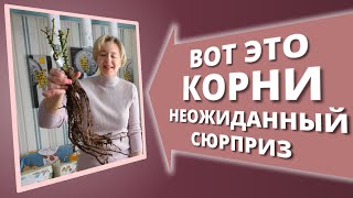 :      .   ! 21  2025.