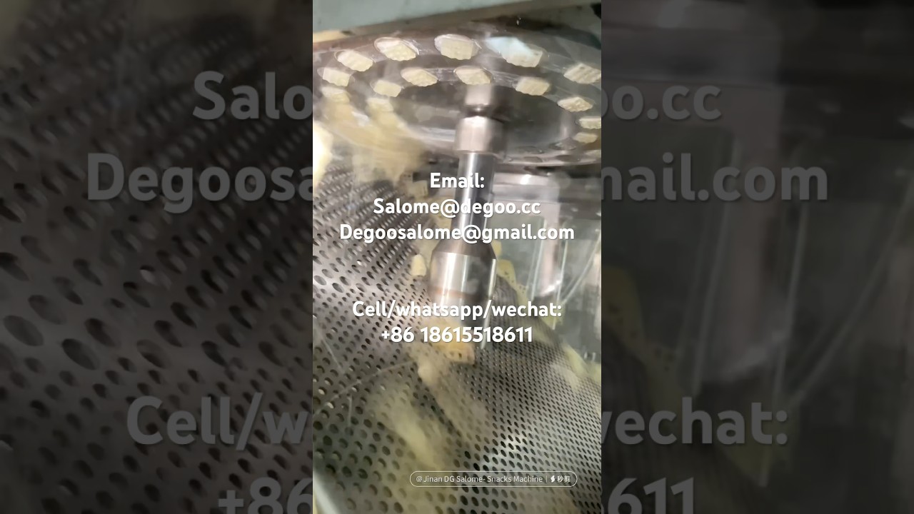 automatic 2d snacks pellet process plant 2d wheat window net shape papad fryums production line