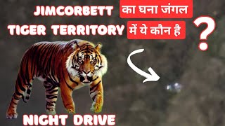 Jimcorbett की Night Drive में मिला कुछ अजीब || Tiger Territory में Night Drive || #wildlifewithsaket