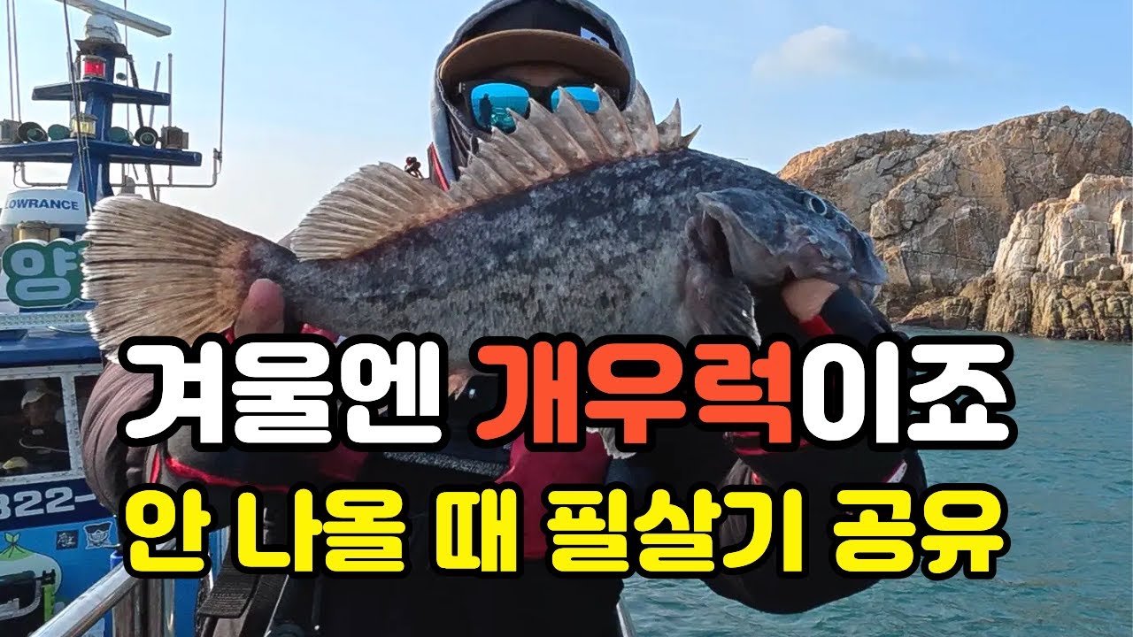 겨울 낚시하면 우럭! 어초, 침선은 다운샷과 다릅니다. 선상 낚시배_대천항 양파호 : 밍스타tv