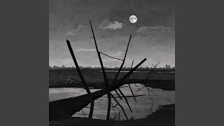 Broken Levee