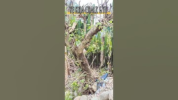 mini vlog 14 ||ajj last paper hai 🥳||#shorts ,#ashortaday ,#minivloge ,#souravjoshivlogs #viral