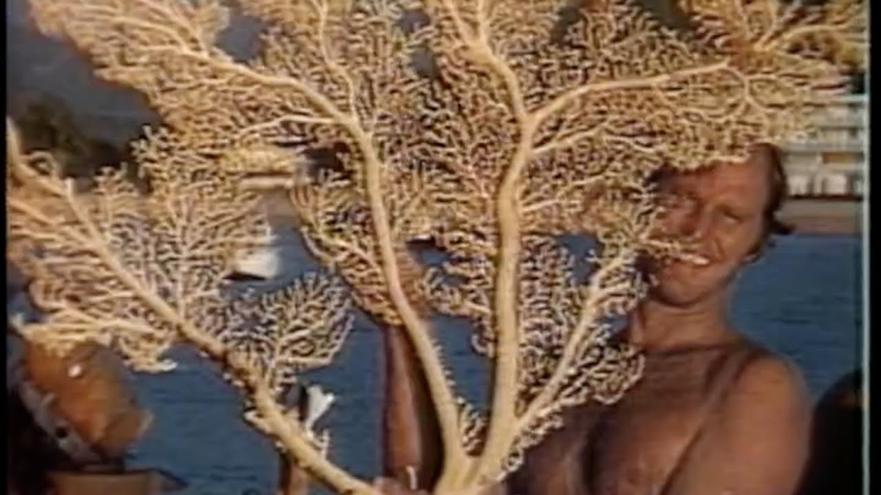 Coral Jewelry 1985 Maui Divers