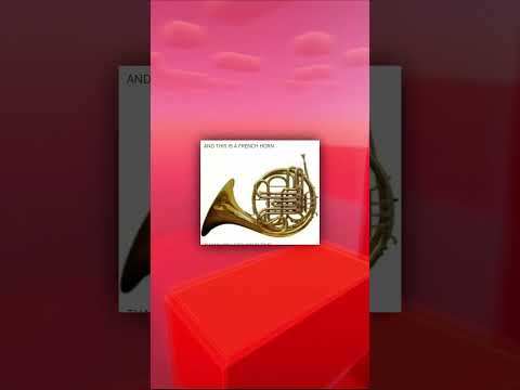 ragebait professional 🐒 🦁