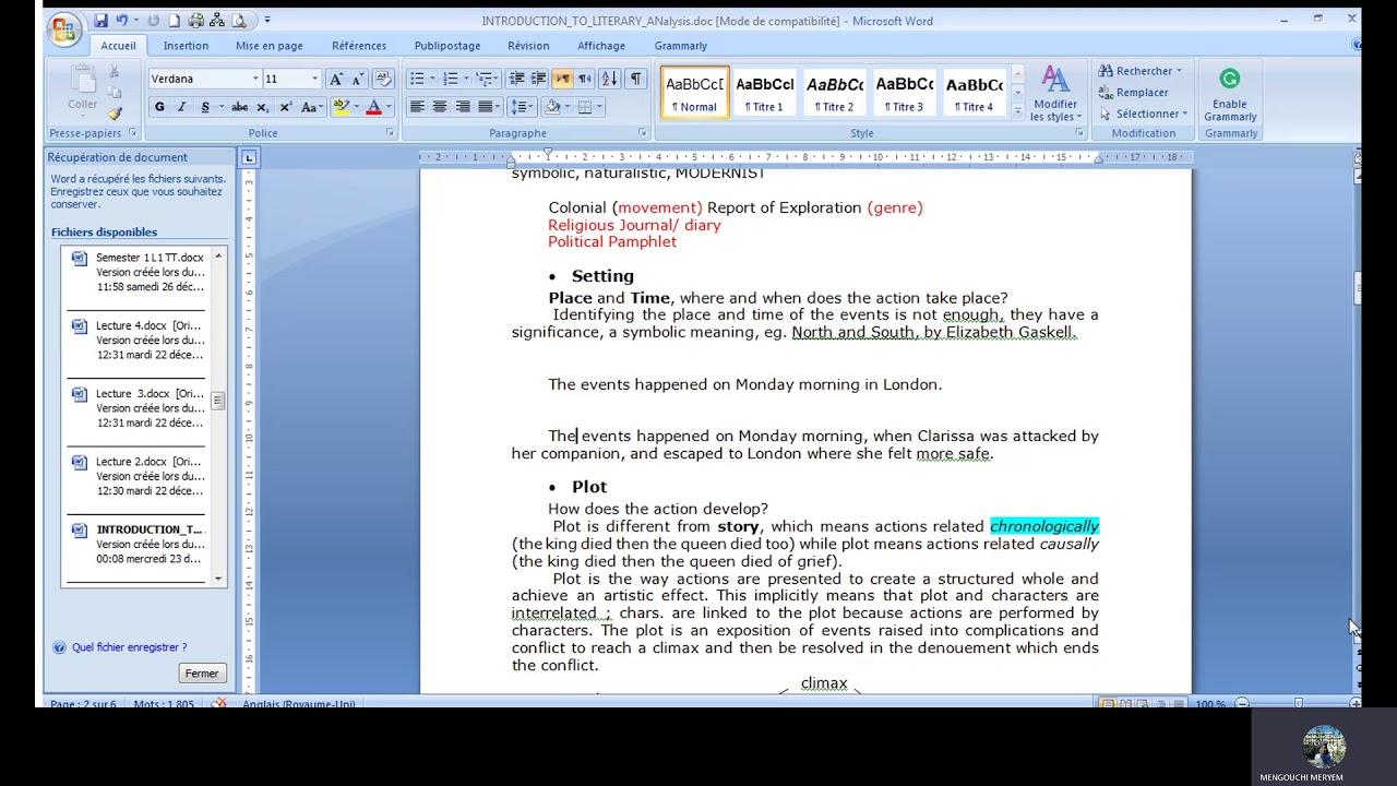 Literary Analysis 2: General Ideas, Literary Genre, Audience, Themes, Plot
