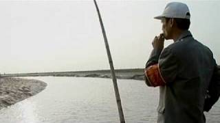 Full Climate change: turning the tide Update