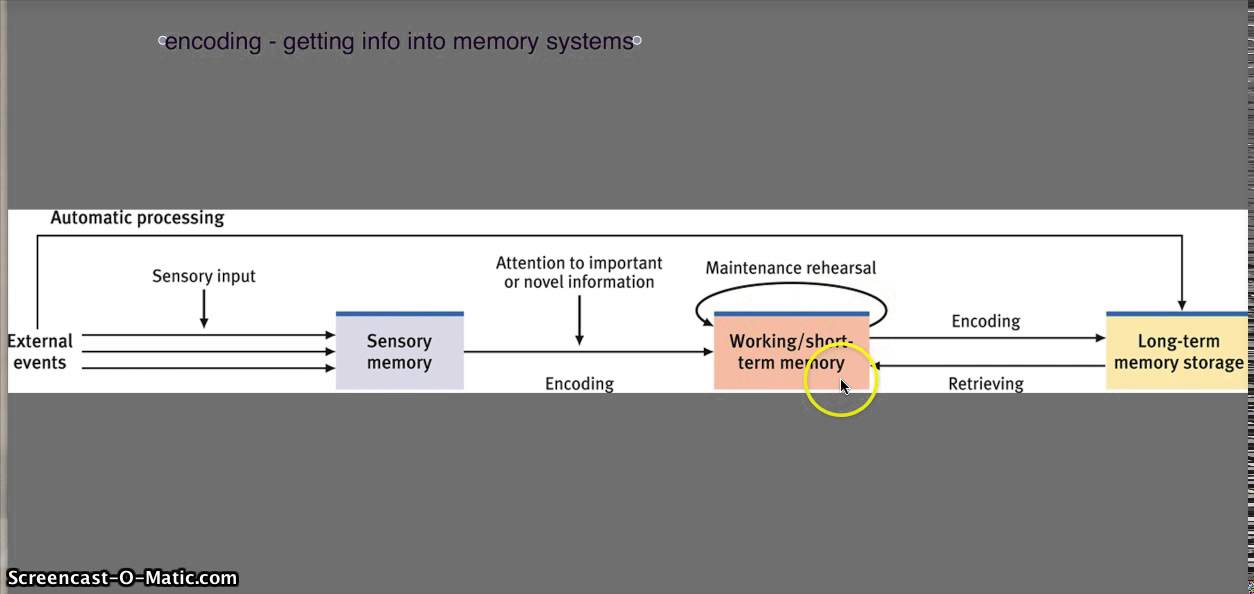 7.1 information processing - YouTube