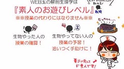 Web玉のタマえもん Youtube