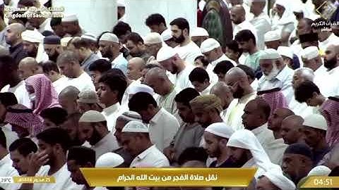 تلاوة عذبة لخواتيم سورة القصص 76-88 للشيخ د. #بندر_بليلة فجر الأربعاء 25 محرم 1446هـ