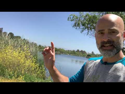 How to Practice Qigong All Day Long with One Finger Zen