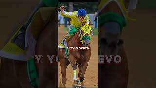 Caballos de carreras #horsetrack #caballos #horseracing #horse #horsesports