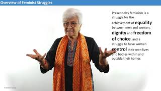 Overview of feminist struggles