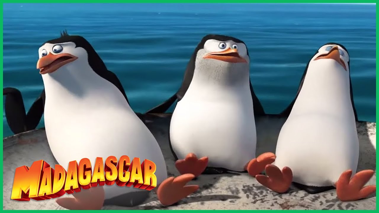 ⁣DreamWorks Madagascar em Português | Dança tapa | Os Pinguins de Madagascar | Desenhos Animados