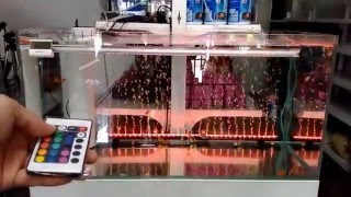 完整示範《遙控變色》氣泡燈\/水中燈\/水族燈具 ● 水族 魚缸 造景 LED AQUARIUM LIGHTING
