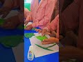 Leaf Art Activity 🌿🍀| Leaf Drawing #creativity #schoolactivities #youtube #shorts #teachers #basic