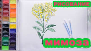 Как нарисовать мимозу. How to paint a branch of Mimosa.