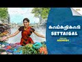 Kaaikarikaari settaigal  sound settai