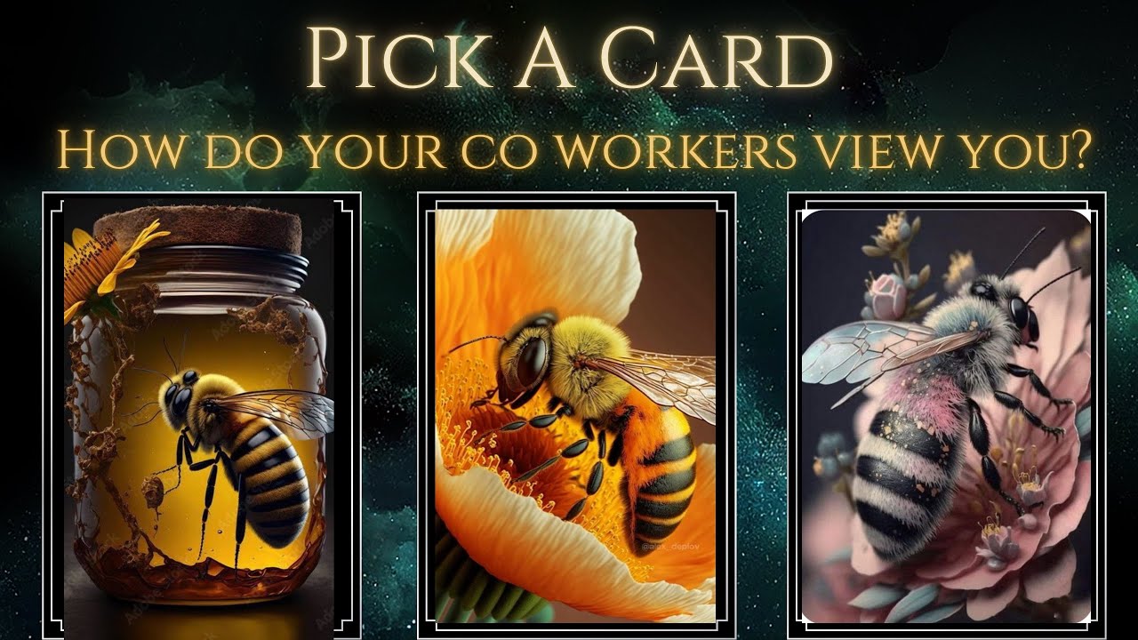 How do your co-workers view you? #pickacard #tarot