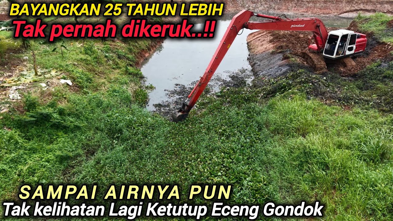 MANTAP NEMU LAGI SUPIR EXCAVATOR KERJAANNYA RAPI CEPAT WARGANET ANTUSIAS NORMALISAI ERA KANG DEDI❗️