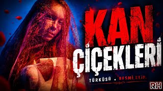 Kan Çiçekleri - Modern Cover ( 2026)