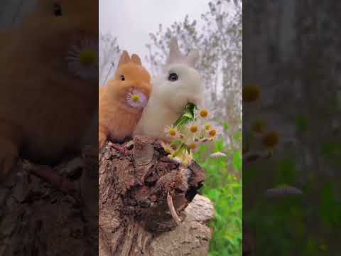 Bouncing Whiskers: Exploring