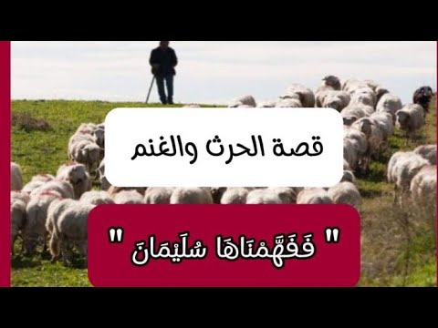 تفسير ففهمناها سليمان