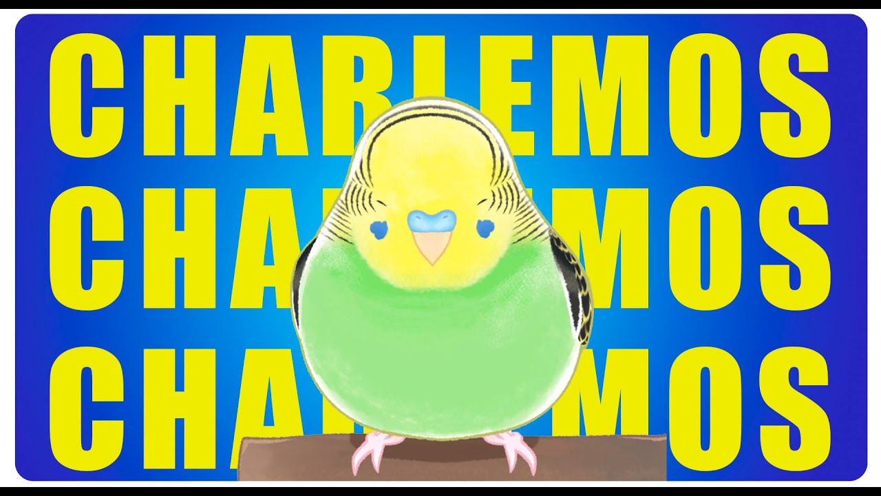 CHARLEMOS #vtuber - YouTube