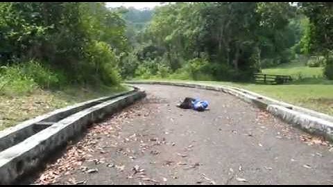 Prototype of CAD(Computer-aided dispatching) System for EMS(Emergency Medical Service))