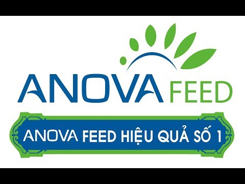 feedvisor BÁN KẾT GIẢI VÔ ĐỊCH U23 CHÂU Á: VIỆT NAM - QATAR