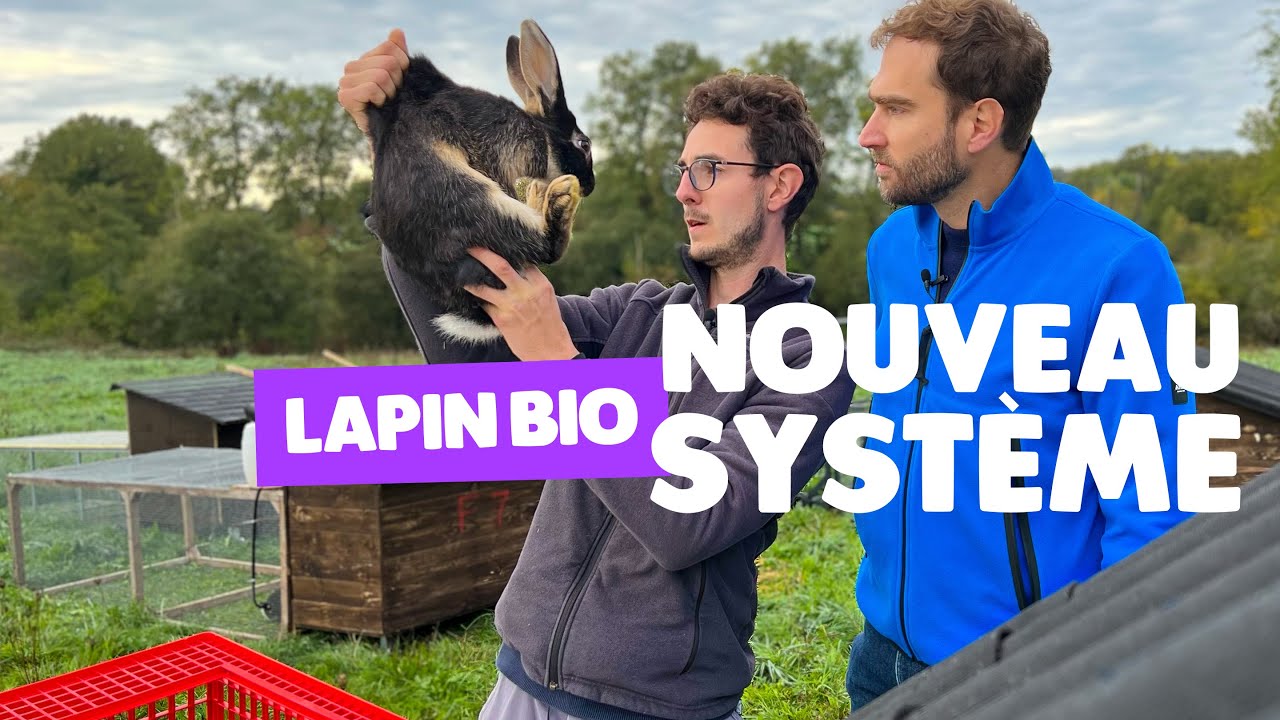 Installation innovante en élevage lapin bio