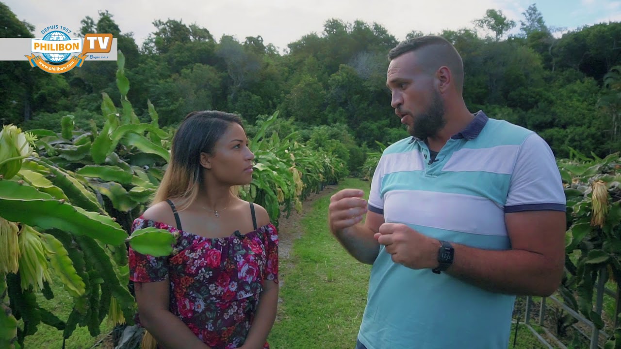 PHILIBON, émission 10 , les fruits exotiques de l’ile de la Réunion