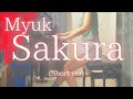 【Myuk】「Sakura」(Short ver) を弾いてみました。