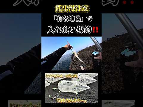 3月下旬の磯での爆釣と入れ食いの状況。