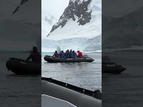 USA TODAY captures once-in-a-lifetime expedition in Antarctica #Shorts