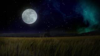 Футаж - Луна над полем пшеницы