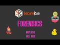 SecureBug CTF Forensics Challenges | Easy & Medium Level Walkthrough 🕵️‍♂️