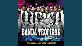 Video thumbnail of "Banda Tropikal de Vallenar - Paloma Blanca"