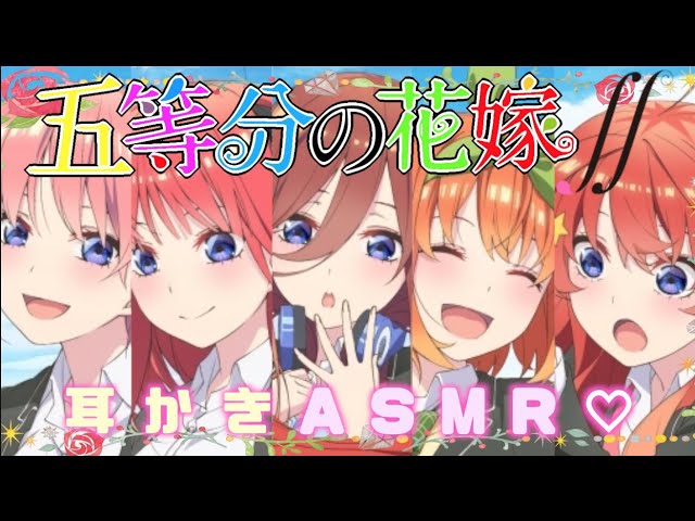 【ASMR : 睡眠用】本日(5/5)は５つ子ちゃんのお誕生日♡今年も花嫁たちがあなたのお耳を癒します♡ゾクゾクするような音圧で睡眠の世界へ♪【Ear Cleaning / No Talking】
