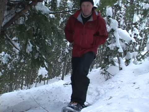 Snowshoeing through the trees at the Silver Star S...