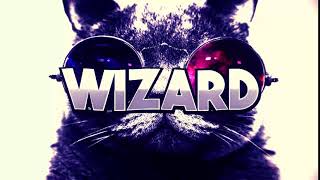 INTRO PARA Wizard