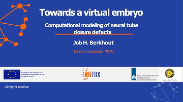GLIMPRINT Seminar Berkhout, Predicting Drug Interactions in Neural Tube Closure, December 11, 2025