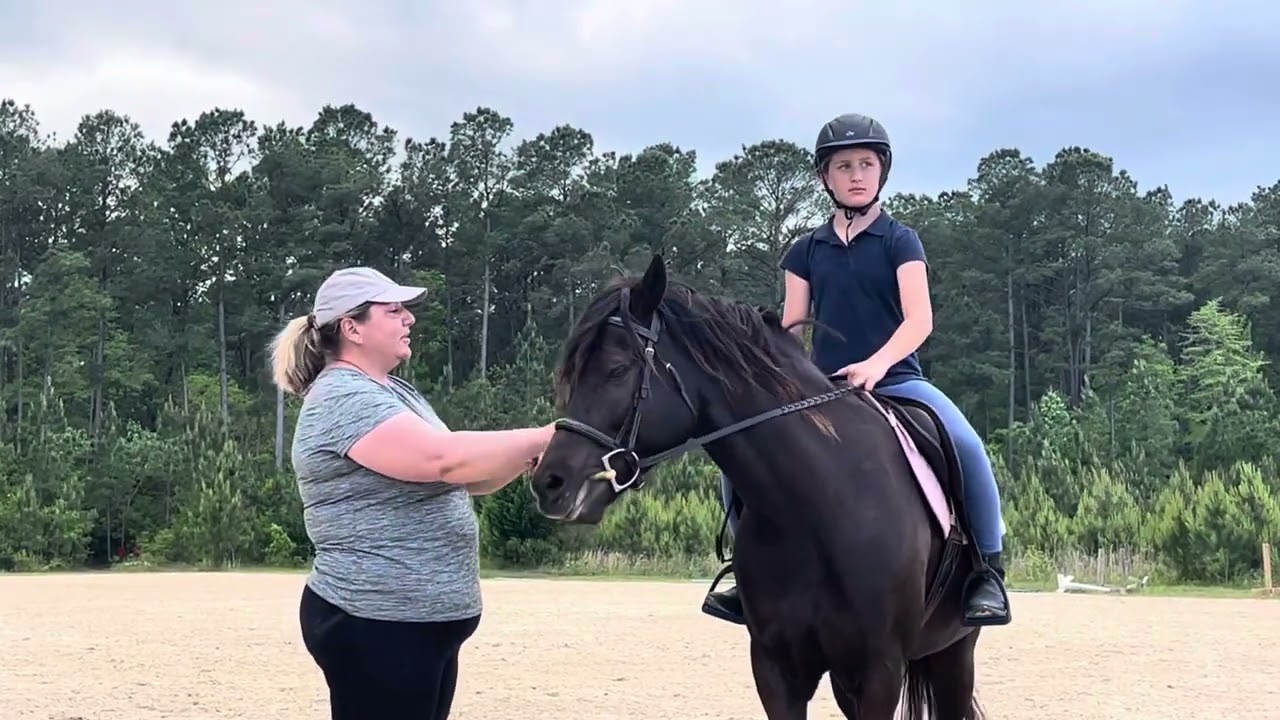 How to handle a pony or horse rooting or pulling