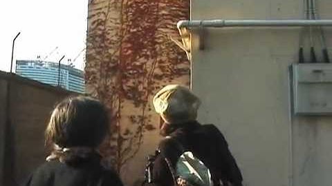 映画「海岸通団地物語」☆【予告】☆